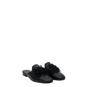 Slipper Flowers Elite Black